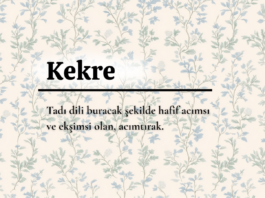 ¨Kekre¨